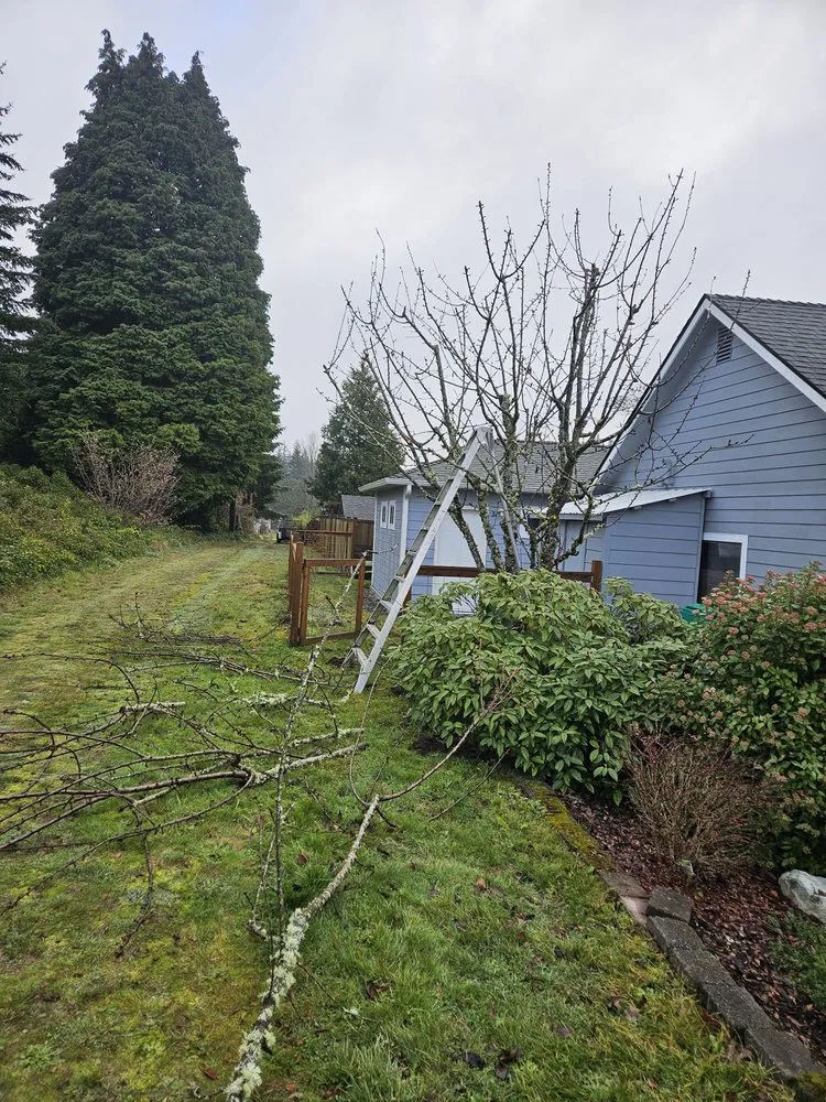 Expert lawn mowing service in Shelton, WA by Greenbrier Landscape Maintenance