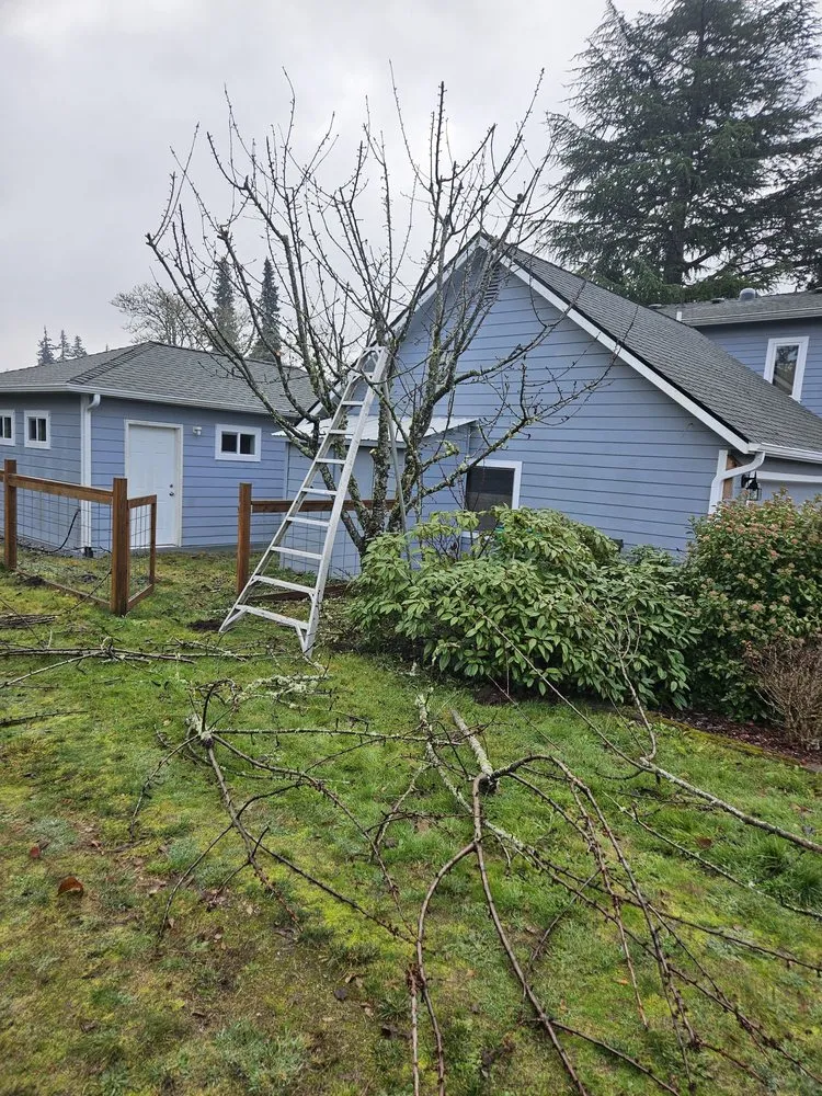 Reliable outdoor landscaping in Shelton, WA by Greenbrier Landscape Maintenance