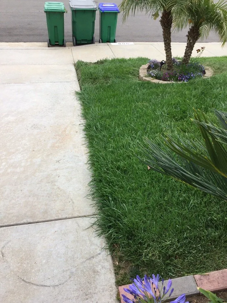 Affordable residential landscaping in Spring Valley, CA by Greenbrier Lawn & Tree Expert