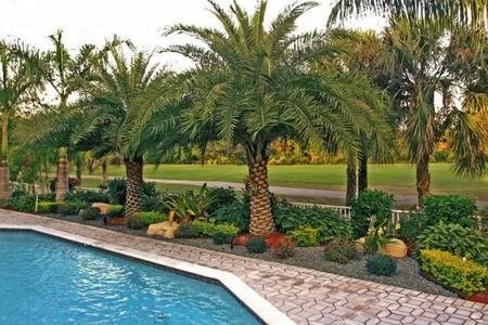 Reliable landscape installation in Clearwater, FL by Greenbrook Landscape