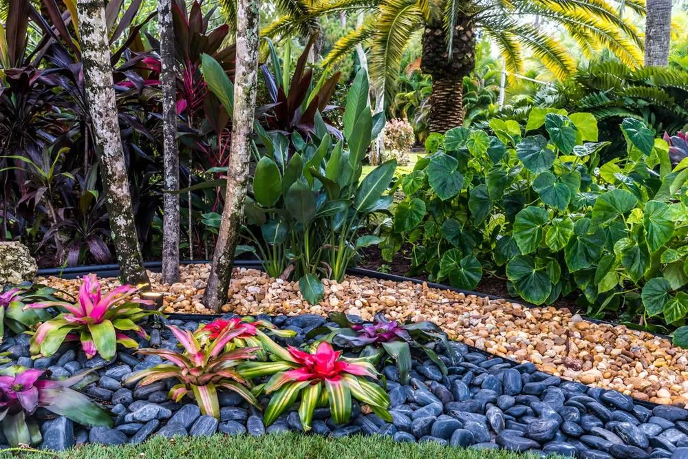 Reliable lawn mowing service in Clearwater, FL - Greenbrook Landscape