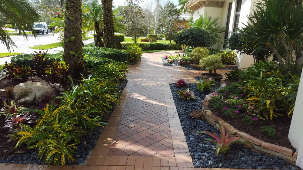 Expert yard cleanup service in Clearwater, FL - Greenbrook Landscape