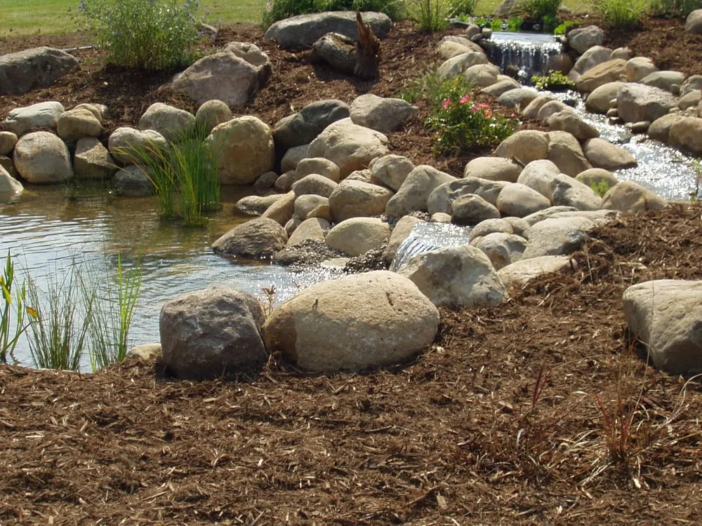 Affordable yard cleanup service in Grand Rapids, MI by Greenbud Landscaping