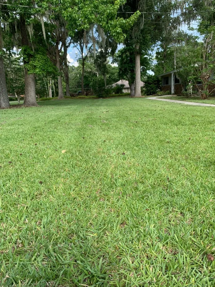 Local residential landscaping in Ocala, FL by Greencala