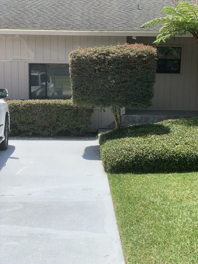 Trusted lawn mowing service experts serving Ocala, FL - Greencala