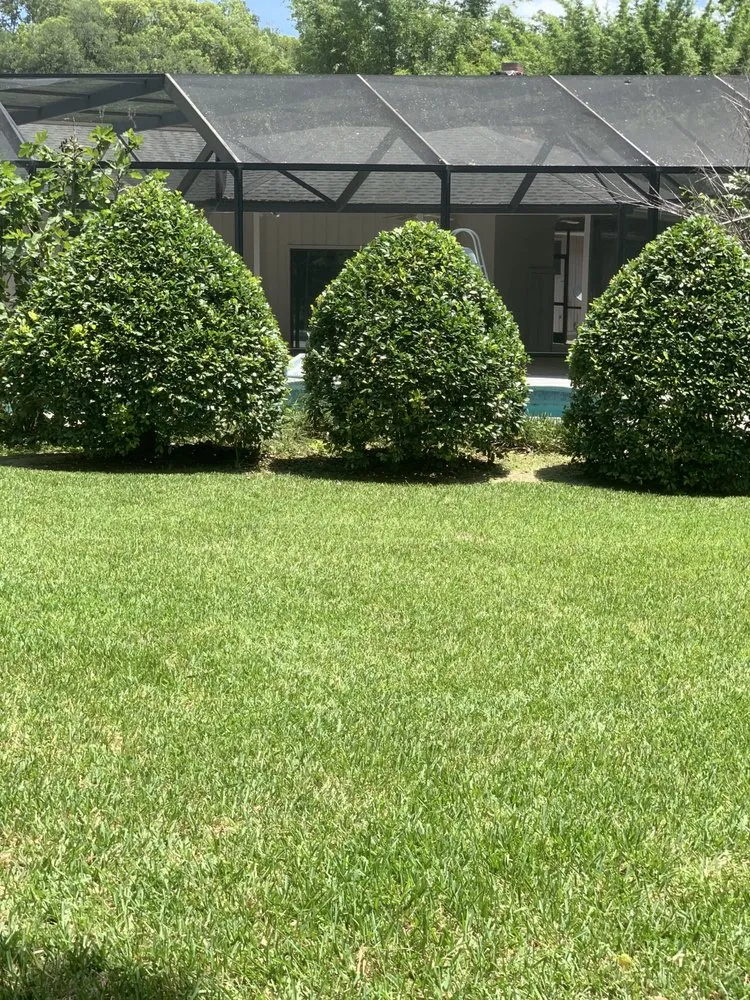 Professional landscape design experts serving Ocala, FL - Greencala