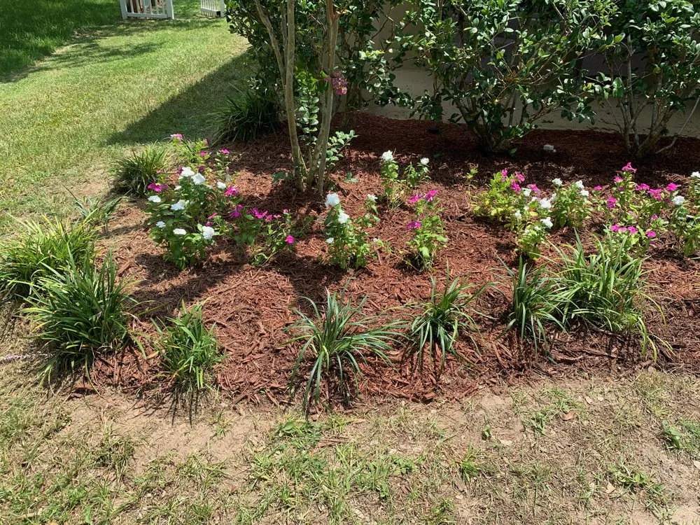 Local residential landscaping in Ocala, FL - Greencala