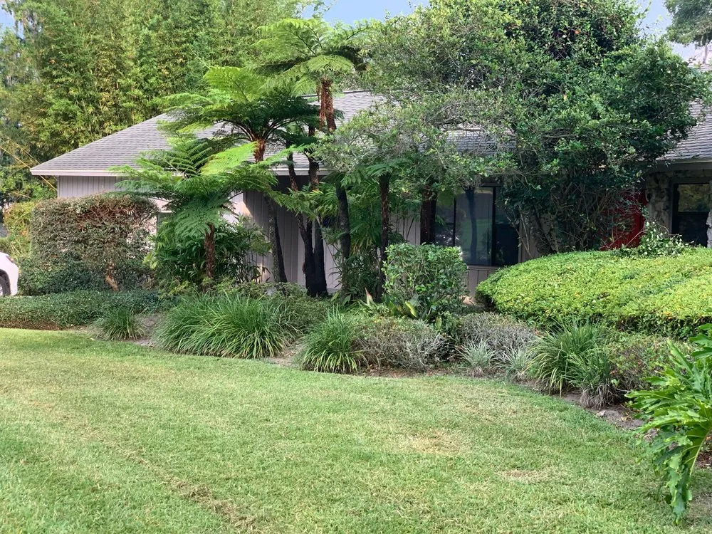 Expert landscape design in Ocala, FL by Greencala