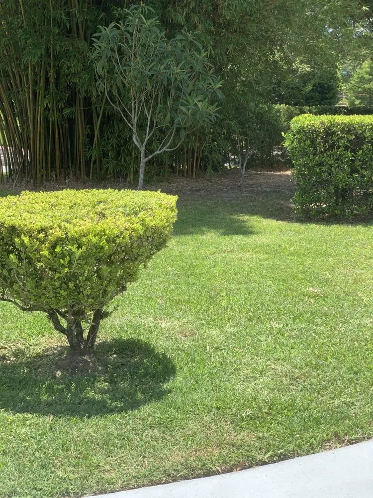 Trusted lawn care service with custom design in Ocala, FL by Greencala