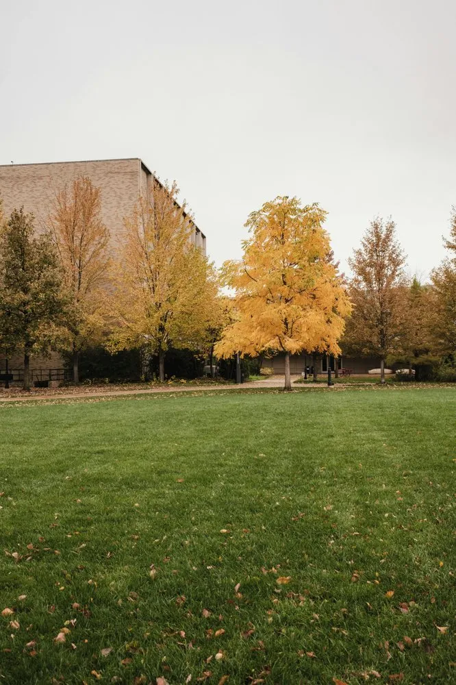 Custom landscape installation in Huntington, IN - Greencape Services