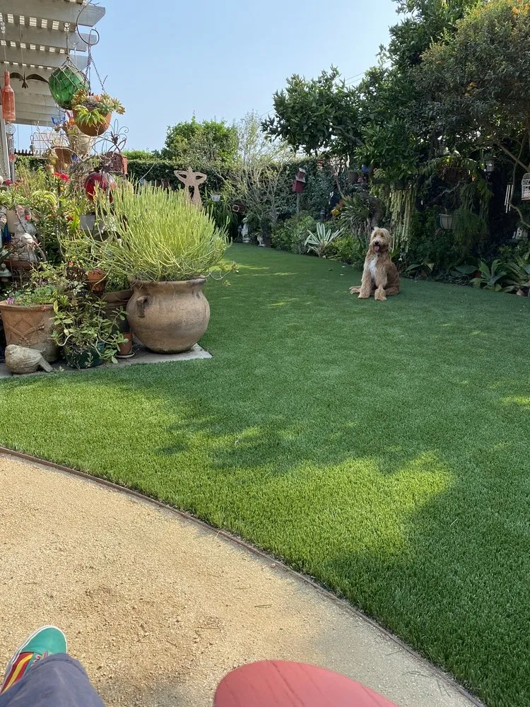 Custom lawn mowing service experts serving Laguna Niguel, CA - Greencare Landscape