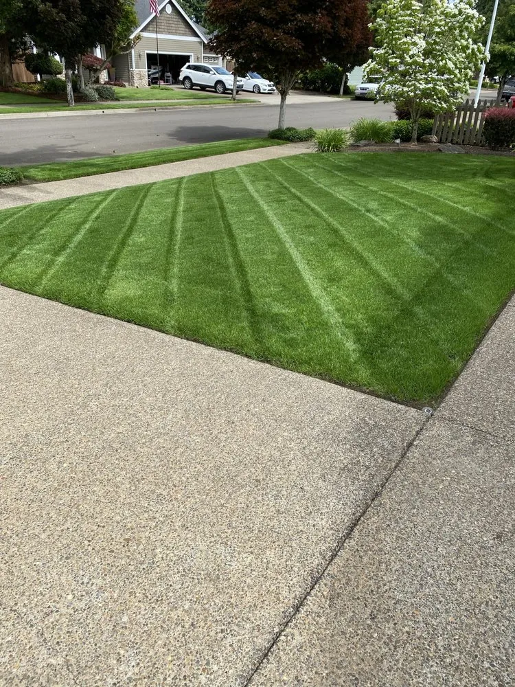 Local yard cleanup service near you across Clackamas, OR - Greencare Landscape Maintenance