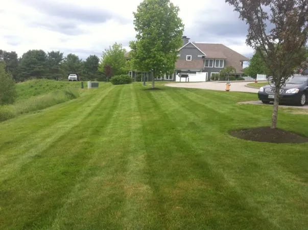 Professional outdoor landscaping in Scarborough, ME by Greencare Landscape Management