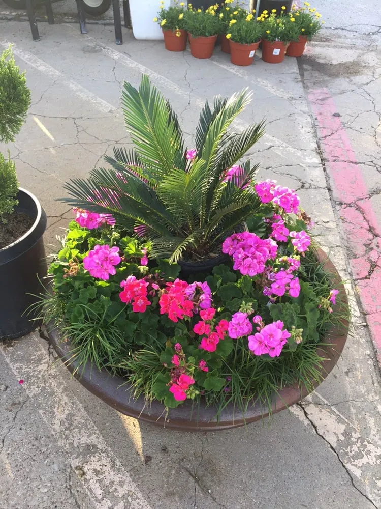 Reliable landscape installation for outdoor upgrades across Crowley, TX - GreenCare Lawn and Landscape