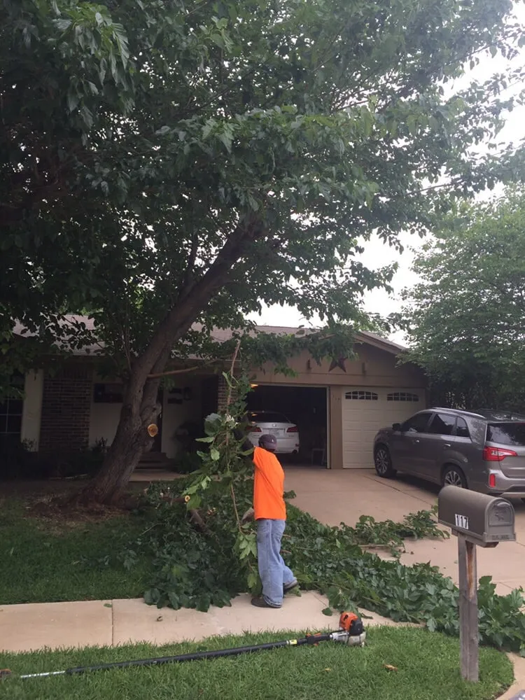 Trusted yard maintenance experts serving Crowley, TX - GreenCare Lawn and Landscape