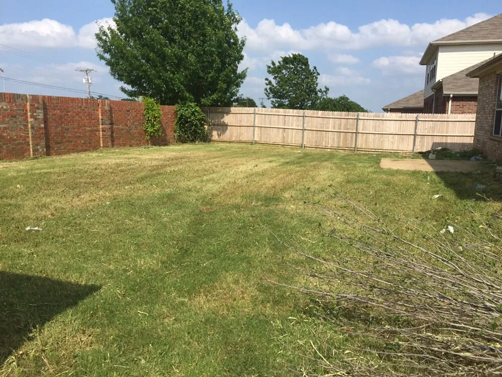 Trusted yard cleanup service for beautiful yards in Crowley, TX by GreenCare Lawn and Landscape