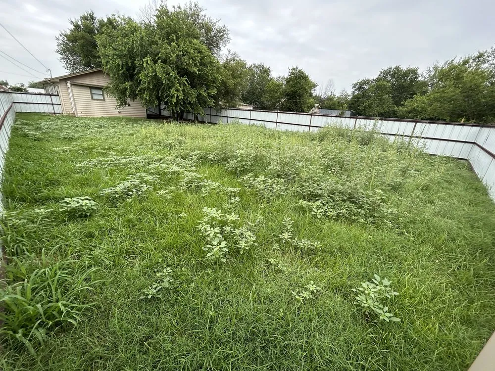 Top-rated yard maintenance in Wichita Falls, TX by GreenCare Lawns services