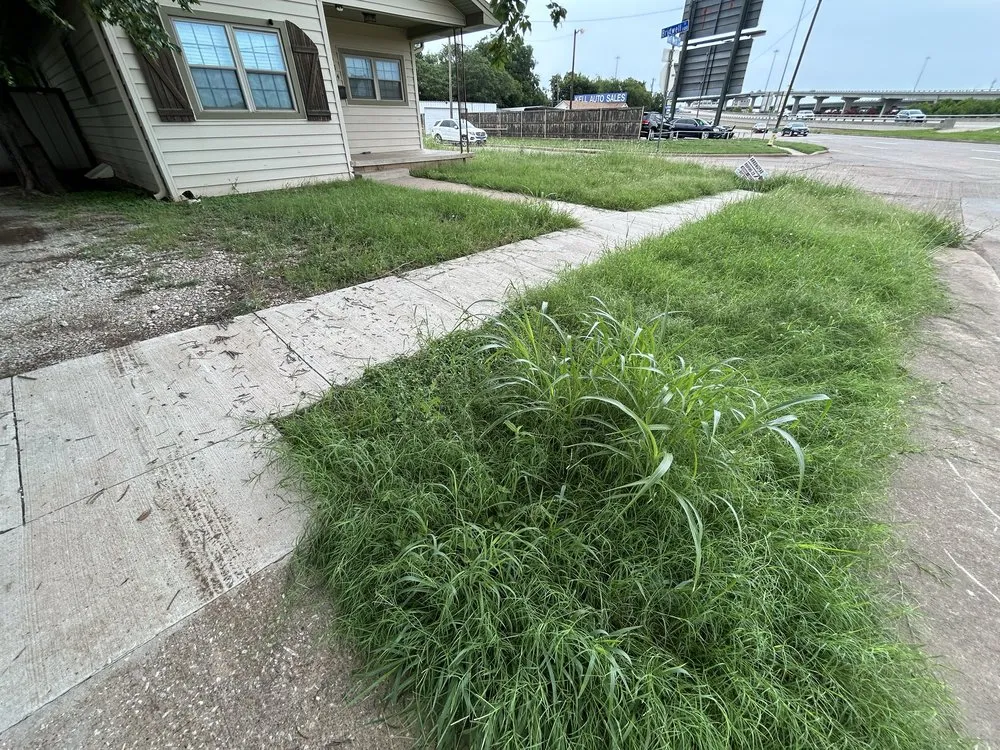 Local lawn mowing service in Wichita Falls, TX - GreenCare Lawns services