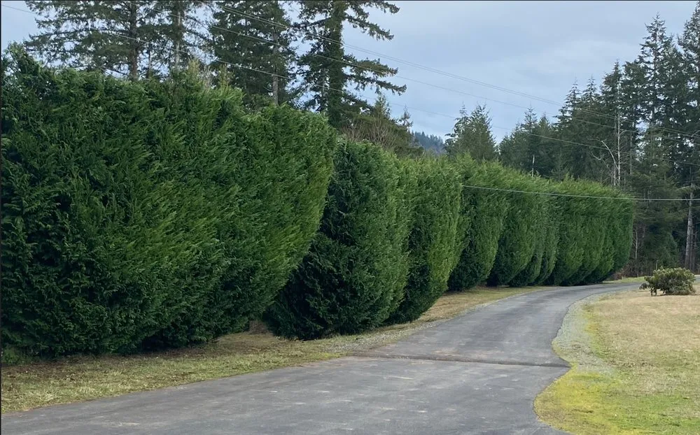 Top-rated landscape installation in Coquille, OR - GreenCare Pruning & Landscape