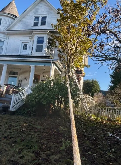 Trusted residential landscaping for outdoor upgrades in Coquille, OR by GreenCare Pruning & Landscape