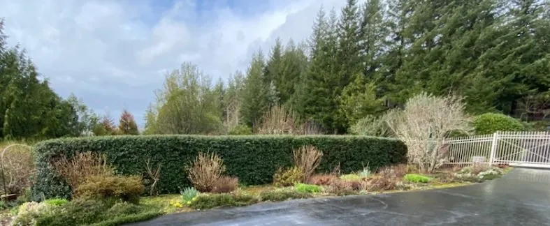 Expert residential landscaping in Coquille, OR by GreenCare Pruning & Landscape