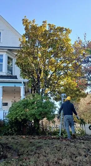 Affordable yard cleanup service for residential properties in Coquille, OR by GreenCare Pruning & Landscape