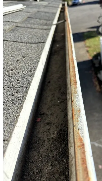 Expert yard maintenance for homes across Coquille, OR - GreenCare Pruning & Landscape