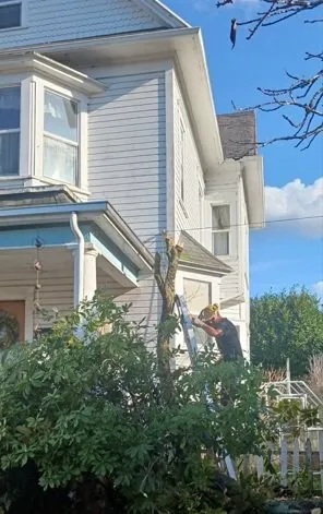 Expert residential landscaping in Coquille, OR by GreenCare Pruning & Landscape