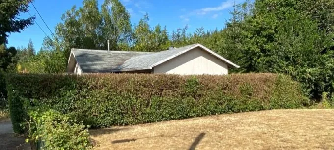 Local yard cleanup service experts serving Coquille, OR - GreenCare Pruning & Landscape