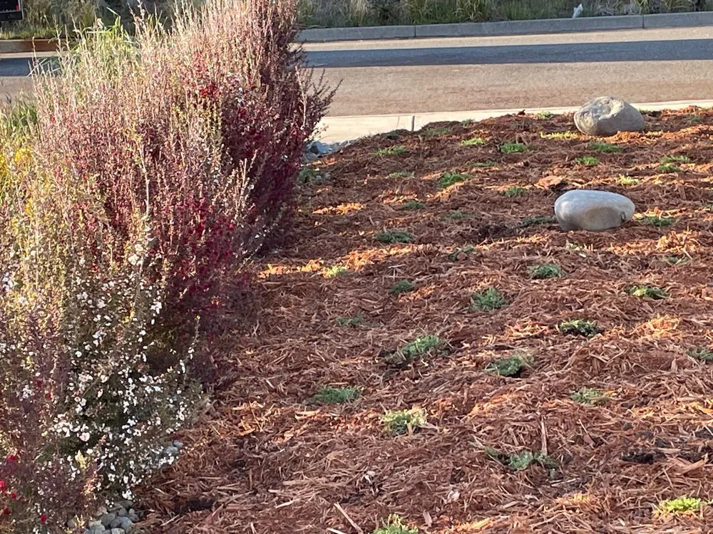 Top-rated landscape design in Coquille, OR by GreenCare Pruning & Landscape