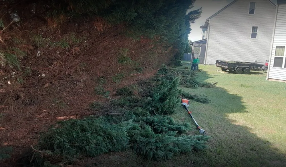 Professional yard cleanup service in Garner, NC - Greenchest Landscape
