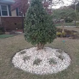 Professional lawn care service experts serving Garner, NC - Greenchest Landscape