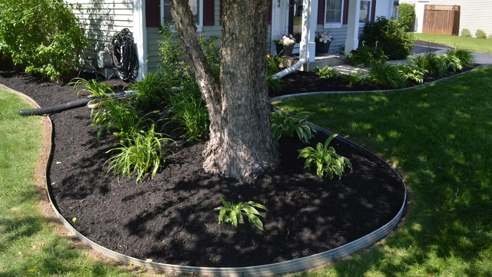 Affordable landscape design in Belvidere, IL - GreenCity Lawn Maintenance