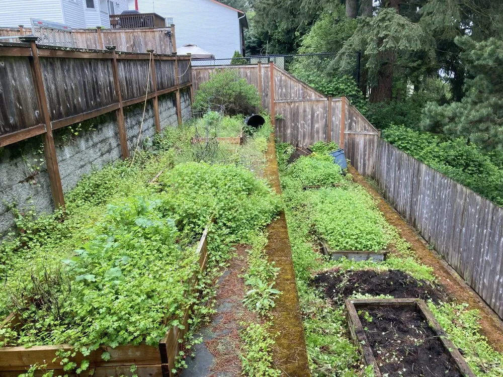 Expert landscape installation experts serving Tacoma, WA - GreenClean Pro Service