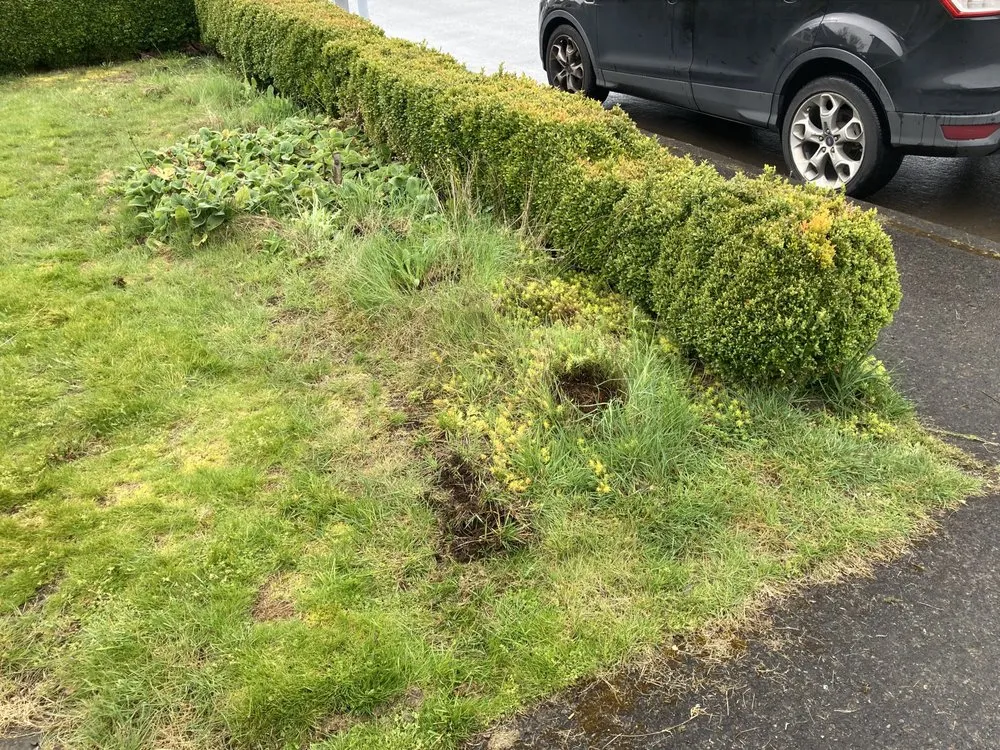 Professional outdoor landscaping in Tacoma, WA - GreenClean Pro Service