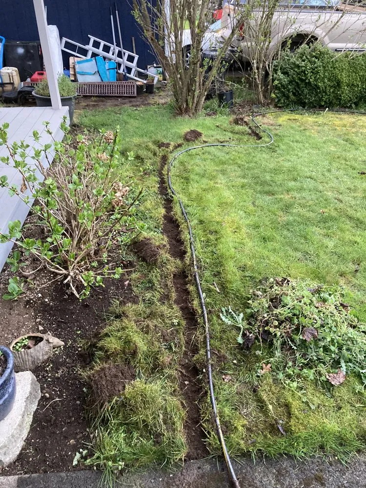 Expert yard maintenance in Tacoma, WA - GreenClean Pro Service