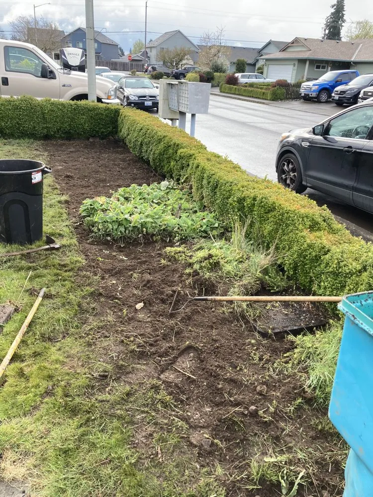 Expert lawn care service in Tacoma, WA - GreenClean Pro Service