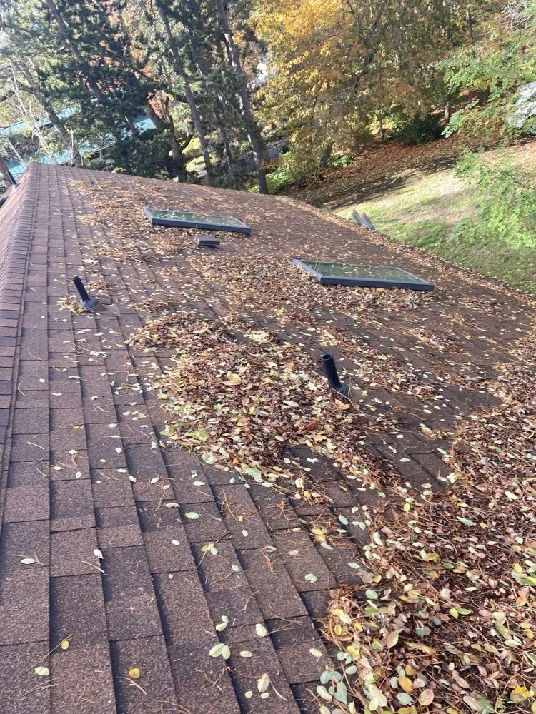 Custom lawn care service in Tacoma, WA by GreenClean Pro Service