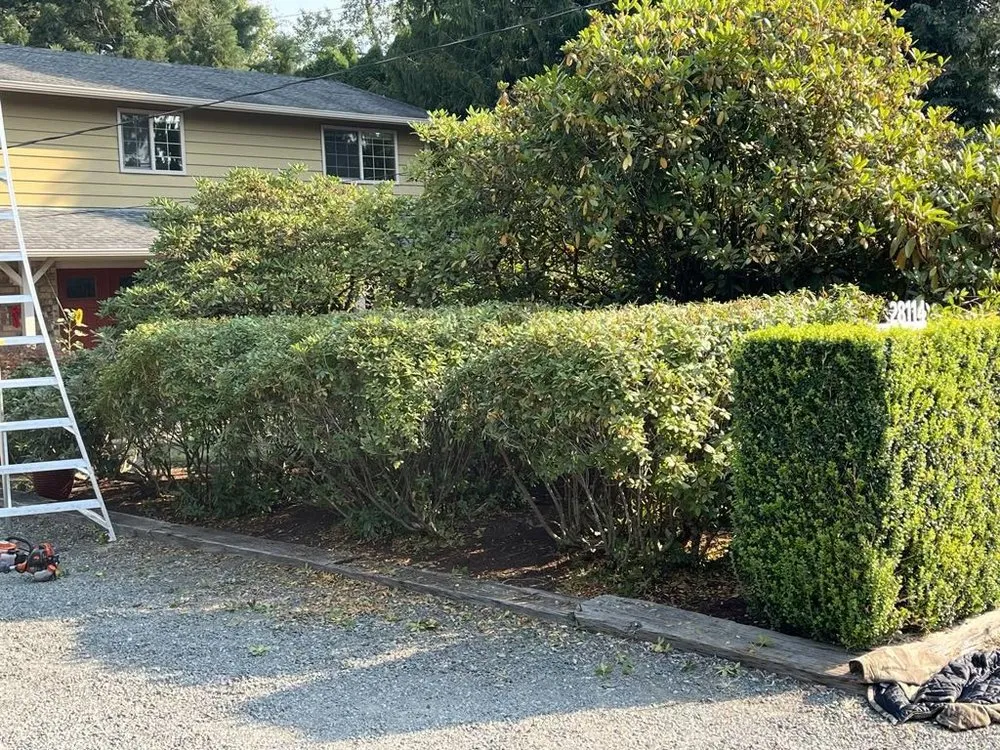 Expert landscaping services experts serving Tacoma, WA - GreenClean Pro Service