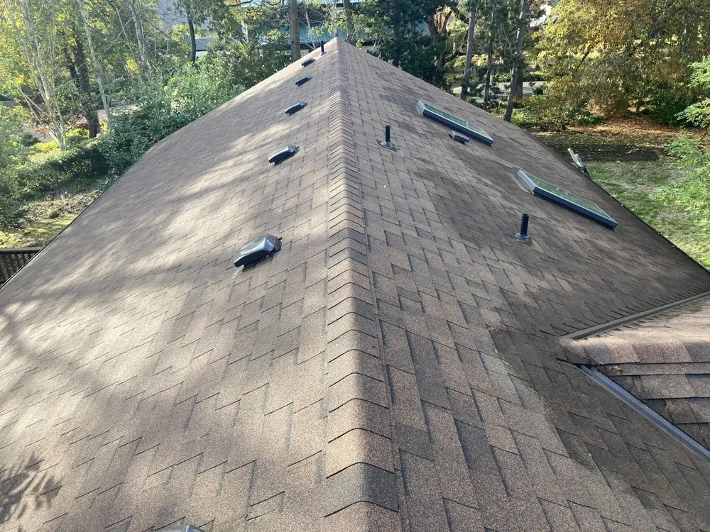 Affordable yard cleanup service for residential properties in Tacoma, WA by GreenClean Pro Service