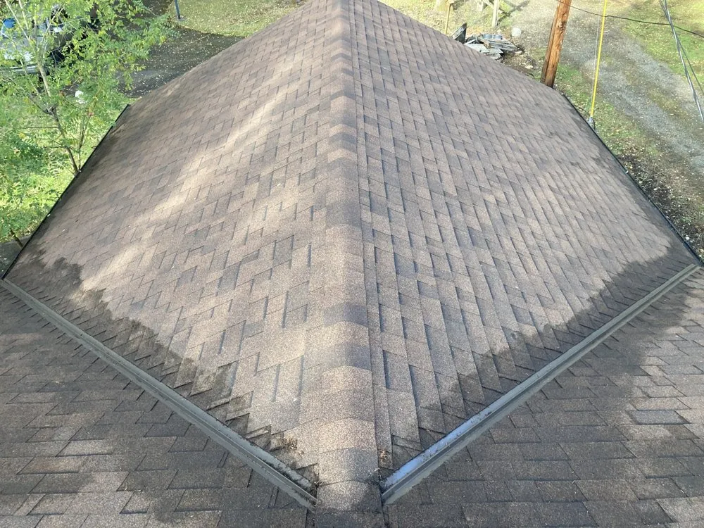 Expert lawn care service experts serving Tacoma, WA - GreenClean Pro Service