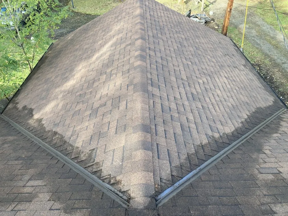 Trusted lawn care service in Tacoma, WA - GreenClean Pro Service