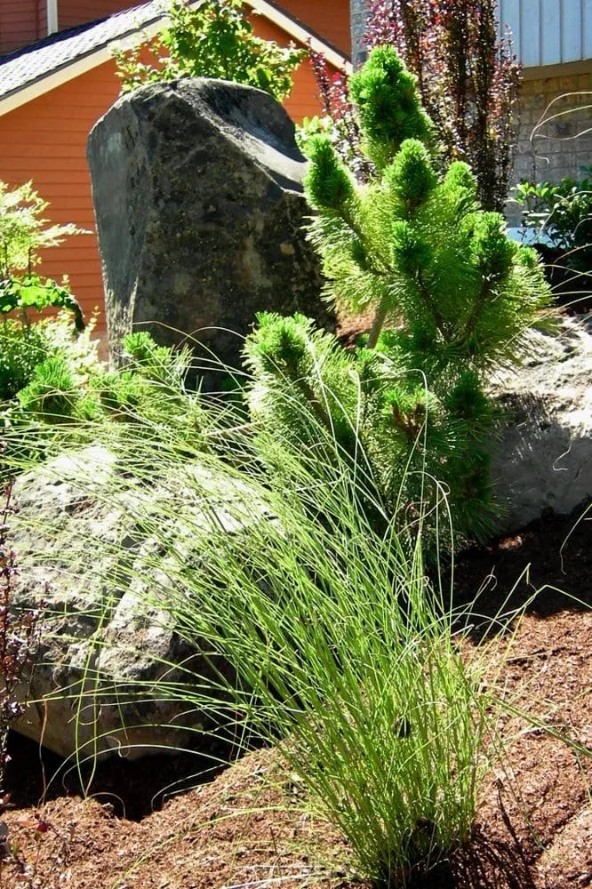 Professional garden landscaping experts serving Edmonds, WA - Greencliff Landscape Company