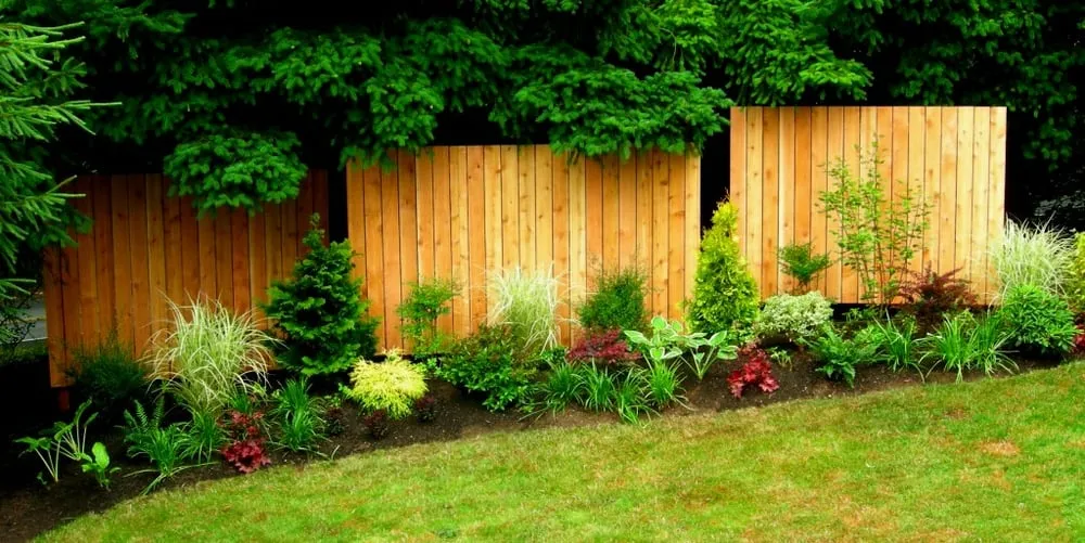 Trusted lawn care service in Edmonds, WA by Greencliff Landscape Company