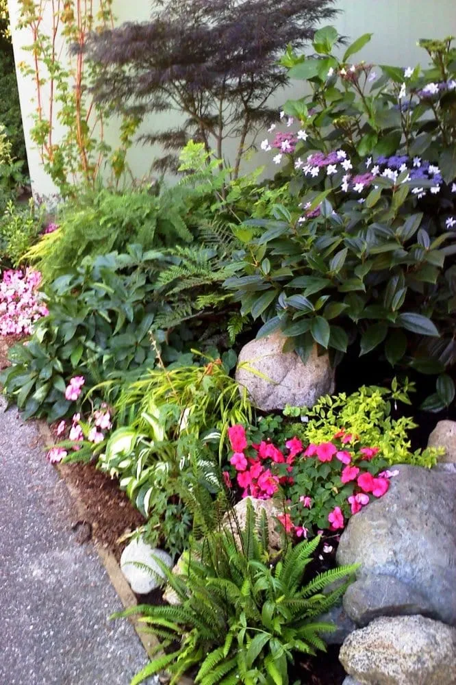 Expert lawn care service in Edmonds, WA - Greencliff Landscape Company