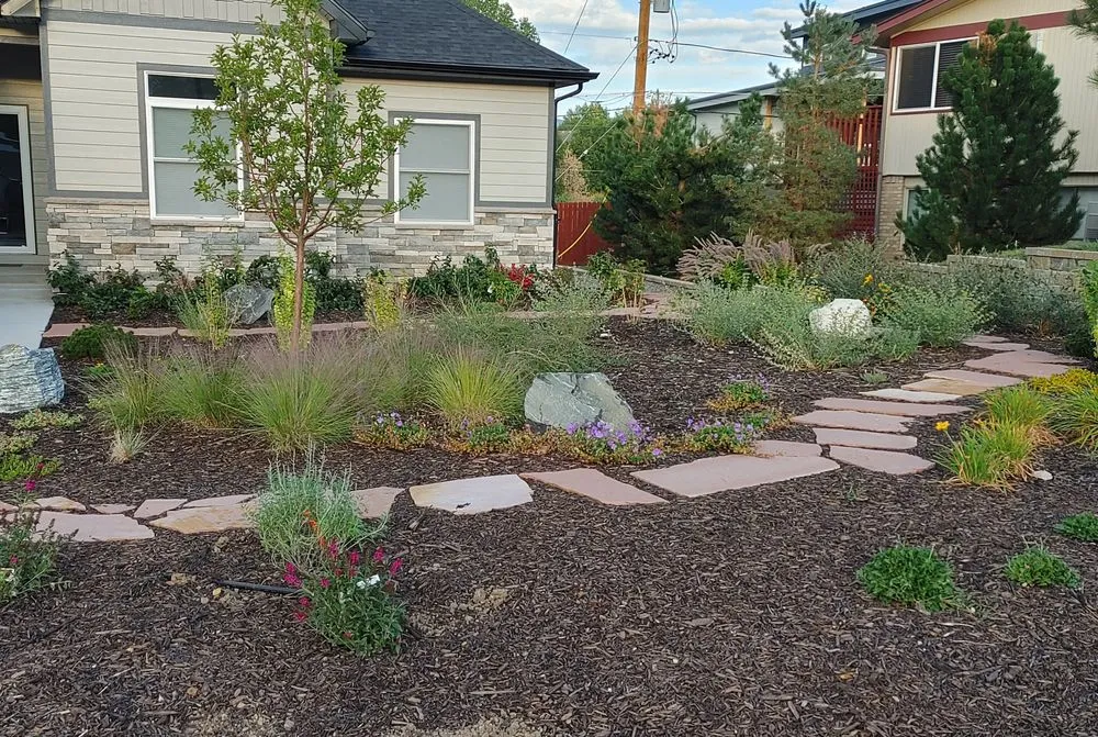 Trusted yard cleanup service experts serving Littleton, CO - GreenCo