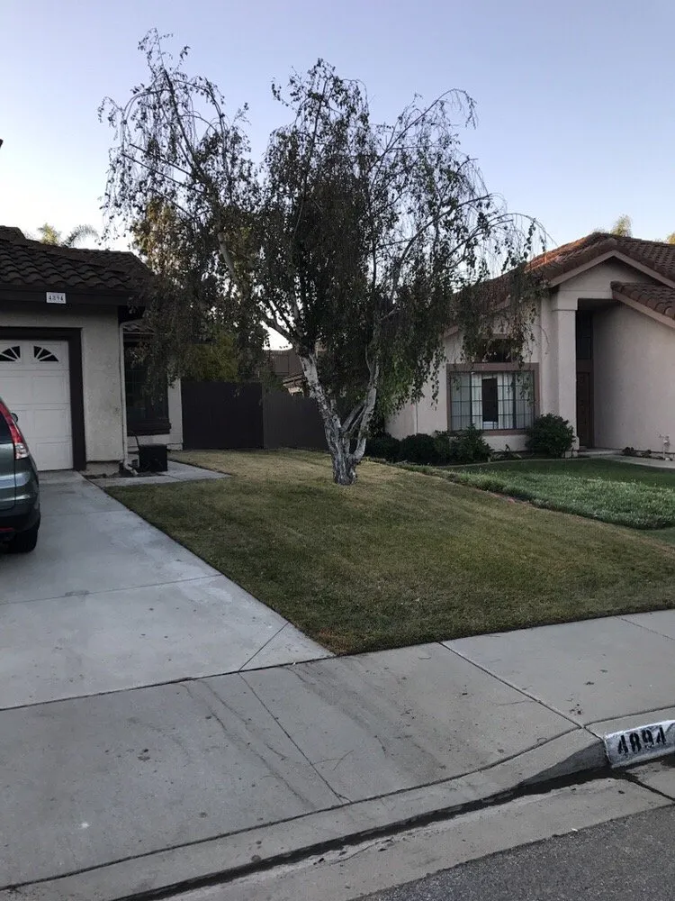 Local landscape installation in Camarillo, CA by GreenCoast Landscapes