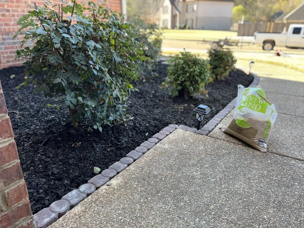 Reliable yard cleanup service experts serving Memphis, TN - GreenCore Lawn and Landscape Service