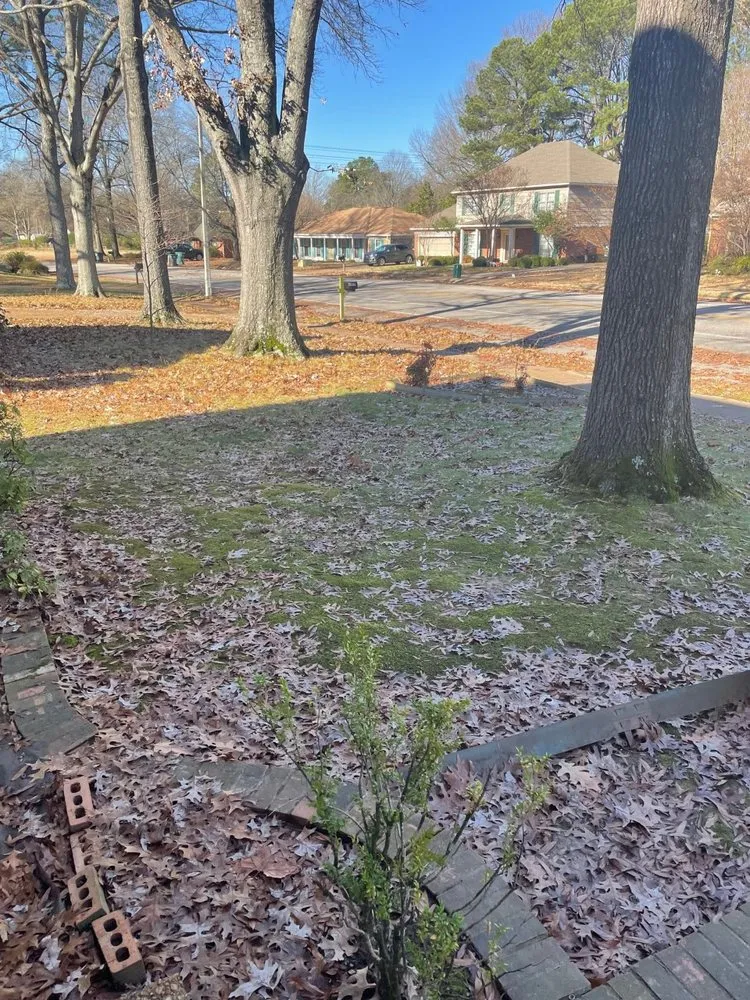 Local yard maintenance experts serving Memphis, TN - GreenCore Lawn and Landscape Service