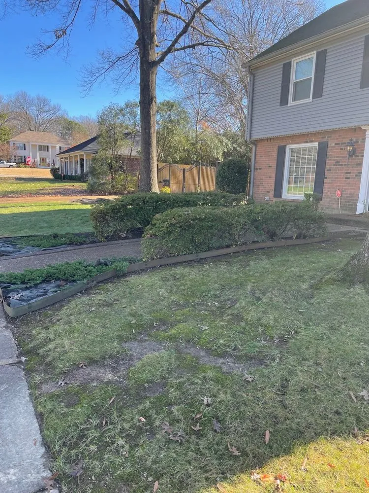 Expert yard cleanup service in Memphis, TN - GreenCore Lawn and Landscape Service